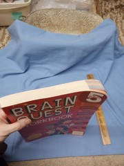 Brain Quest Workbook: Grade 5 – Paperback By Heos, Bridget New, not used