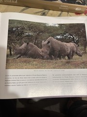 Spectacular South Africa Multilingual by Tim O’Brien 2001