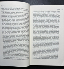 Ernest Lee Tuveson- Redeemer Nation (University of Chicago Press 1974)