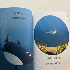 Step into Reading Ser.: Big Shark, Little Shark by Anna Membrino (2017, Trade…
