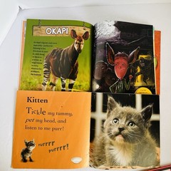 Animal Science Nature Book Lot 8 Classroom Homeschool Hibernation Baby STEM