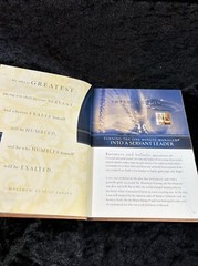 The Servant Leader – Ken Blanchard/Phil Hodges – h/c 2003 illustrated