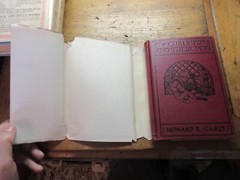 THE CURLYTOPS AND THEIR PETS Dust Jacket DJ 1921