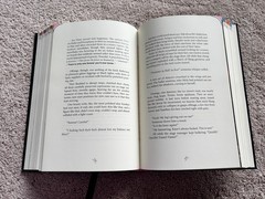 The Familiar, Volume 4: Hades – Paperback By Danielewski, Mark Z. – VERY GOOD