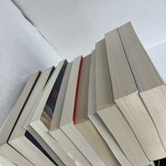 Mystery/Thriller Lot of 12 Trade Paperbacks (See Photos for Titles)