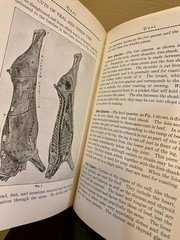 1929 Women’s Institute of Cookery Cookbooks: Set of 10 in Superb Condition