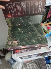 Shield of Sparrows Devney Perry GOLD Edition Romantasy sprayed edges Fantasy