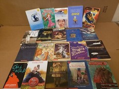 Lot of 100 Chapter INSTANT LIBRARY Children RANDOM~MYSTERY BOX~UNSORTED BOOK MIX