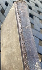 1889 A Short Course in Higher Algebra with Answers Webster Wells