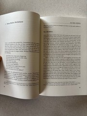 A Different Jesus? Robert L. Millet 2005 Paperback Comparative Theology Eerdmans