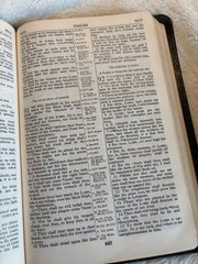 1967 NEW SCOFIELD REFERENCE BIBLE/Black Morocco Leather
