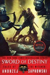 Sword of Destiny (The Witcher) – Paperback By Sapkowski, Andrzej – GOOD
