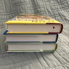 Lot of 3, Jenn McKinlay, Library Lover’s Mystery Cozy Mystery, Hardcover