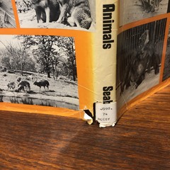 ‘OUR CAPTIVE ANIMALS’- J.J. McCOY-1971-RARE 1ST EDITION HC/DJ- EXOTIC & DOMESTIC