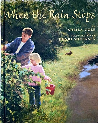 WHEN THE RAIN STOPS By Sheila Cole & Henri Sorensen – Hardcover *Mint Condition*