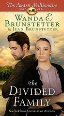 The Amish Millionaire Series All 6 Books in Paperback