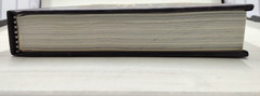 Cruel King by Rina Kent Special Edition 2020 HC
