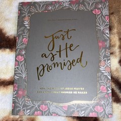 The Daily Grace Co. Just as He Promised 2024 Advent Bible Study Guide PB