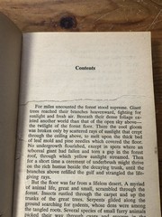 Bloodstone by Karl Edward Wagner Paperback 1975 Rare First Printing