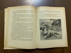 Lviv 1921 DRUGA KSIEGA DZUNGLI RUDYARD KIPLING Polish book VERY RARE