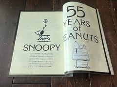 H MAGAZINE TOOOOO CUTE SPECIAL ISSUE JAPAN MAGAZINE KIKI AND LALA MIFFY SNOOPY