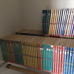 Animorphs books YOU PICK! 41 42 43 44 45 46 47 48 49 50 52 54 1 3 5 21 22 23 24