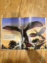 Dinosaurs Through Time Rupert Matthews Hardcover Illustrated Picture Book