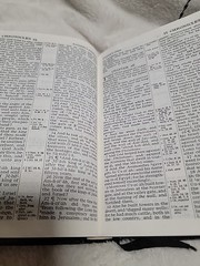 Holy Bible Concordance Red Letter India Paper Morocco Leather London Undated