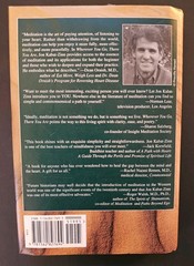 Wherever You Go There You Are: Mindfulness Meditation, Hardcover Jon Kabat-Zinn