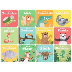 A Case of Wild Animals 12 Board Books Set – Ages 3+ – By Sweet Cherry Publishing