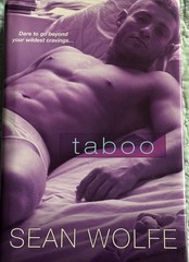 Taboo by Sean Wolfe Gay Erotica Hardcover