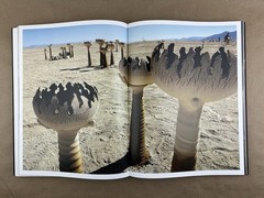 Art Of Burning Man; NK Guy, Taschen Books, 2015, Burning Man Festival, HC