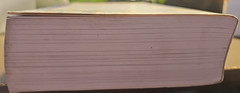 Armchair Reader Incredible Information Publications International