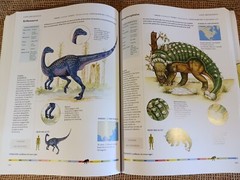 dinosaurs and other prehistoric animals by amber