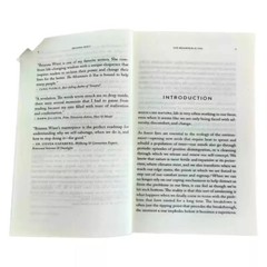 The Mountain Is You: Transforming Self-Sabotage Into Self-Mastery English Books