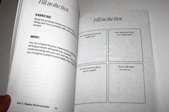 The Shadow Work Journal : a Guide to Integrate & Transcend Your Shadows (2023)