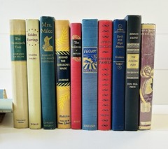 VTG Novels Book Lot of 10 1940s-50s Hardcovers Granny’s House Smell Estate Sale