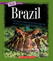 Brazil (New True Books: Geography) – Paperback By Walters, Tara – GOOD