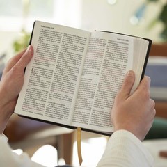 KJV Holy Bible: Personal Size Giant Print, Brown Leathersoft, Red Letter,…