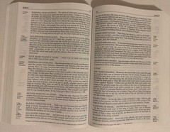 The Daily Bible In Chronological Order 365 Daily Readings NIV Large Print Ed PB