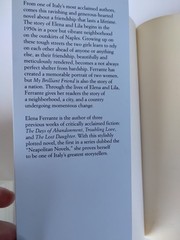 Lot Of 2 Neapolitan Novels By Elena Ferrante, Europa Editions Book 1-2