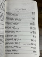 Holy Bible NLT New Living Translation Leather 2007 Tyndale Green
