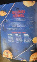 Halloween Coloring Adult Special Edition 32 Pages of Spooky Images