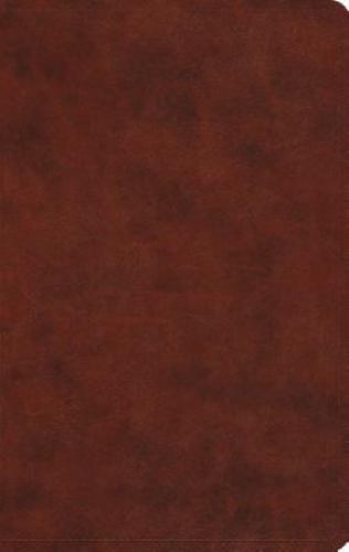 ESV Large Print Value Thinline Bible (TruTone, Chestnut), ESV Bibles, Acceptable