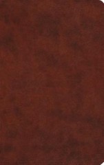 ESV Large Print Value Thinline Bible (TruTone, Chestnut), ESV Bibles, Acceptable