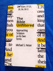 The Bible Unfiltered Michael S, Heiser 2017 Free Shipping