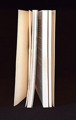 I, Tom Horn by Will Henry ~ c1996 – Pages 341 ~ Paperback