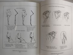 Horse Gaits, Balance and Movement Susan Harris 1993 Mechanics of Movement