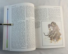 Hattin 1187 Saladin’s Greatest Victory Osprey Campaign Series 19 History Book