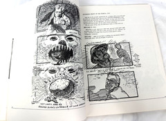 Raiders of the Lost Ark: The Illustrated Screenplay 1981 First Edition
